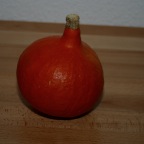 102-0237_IMG